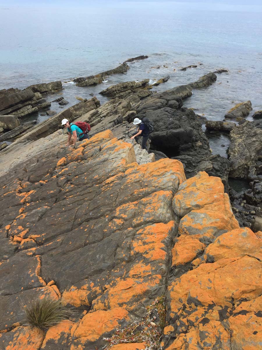 Cape liptrap coastal walk 36