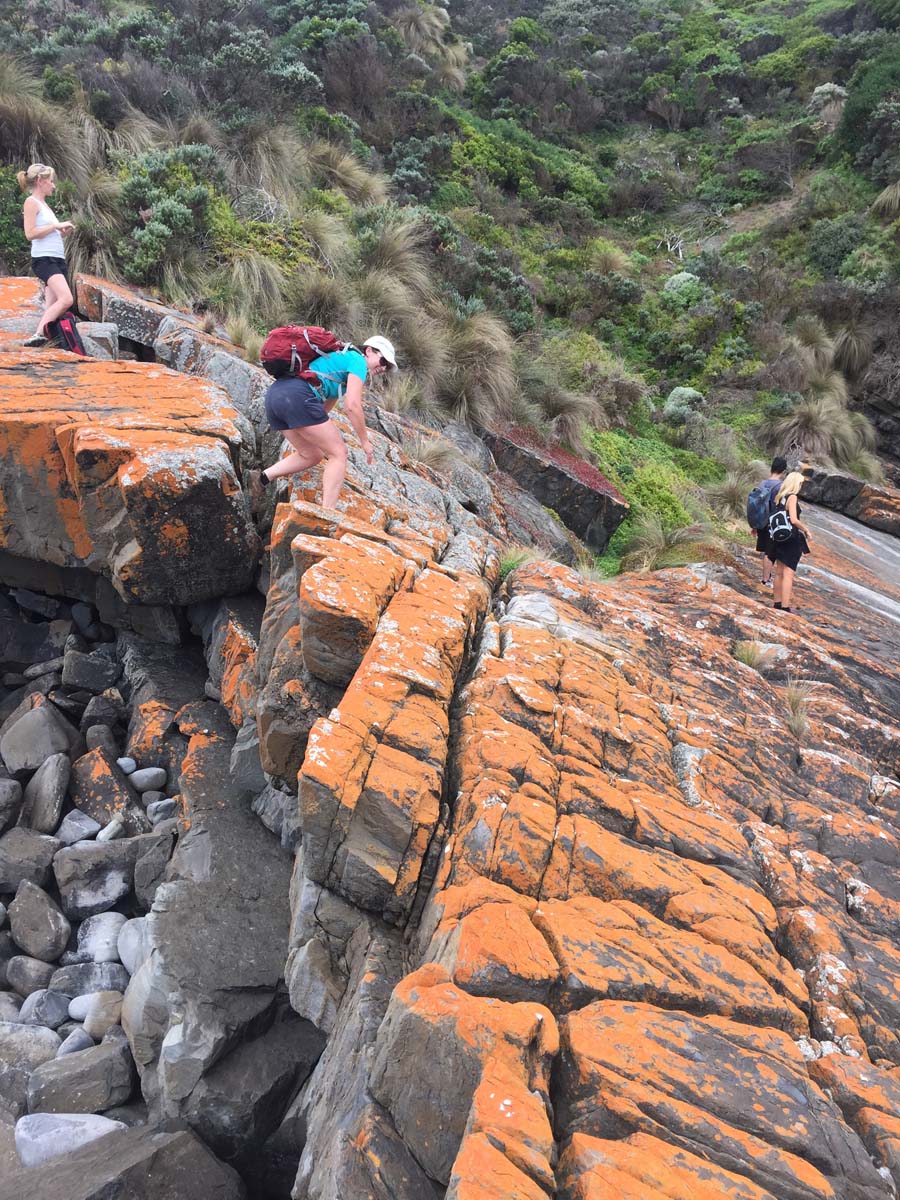 Cape liptrap coastal walk 37