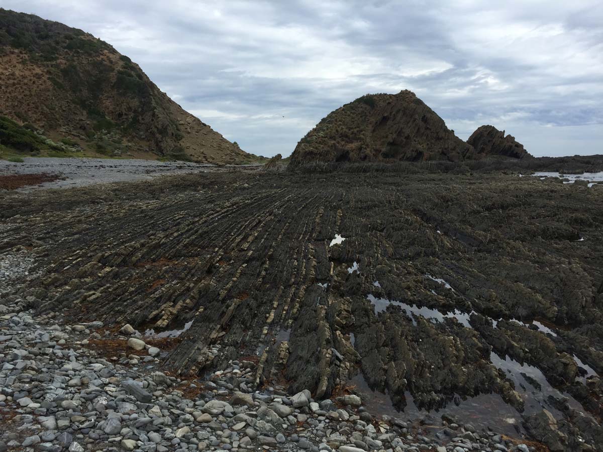 Cape liptrap coastal walk 47