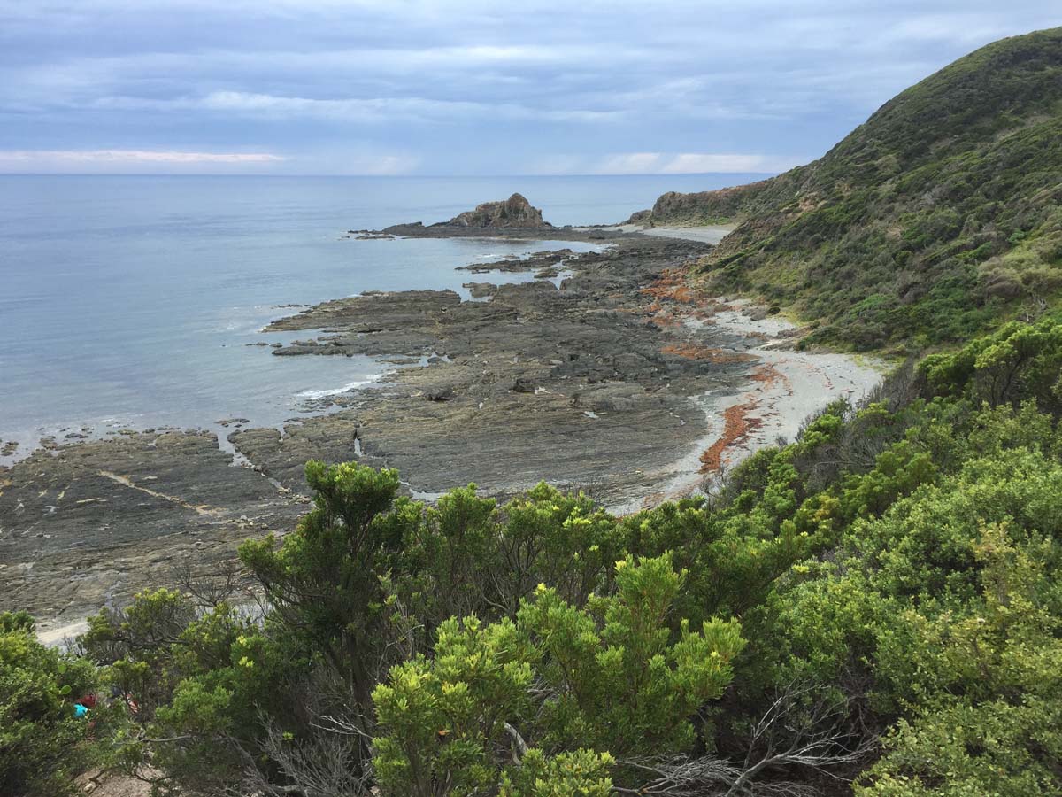 Cape liptrap coastal walk 48