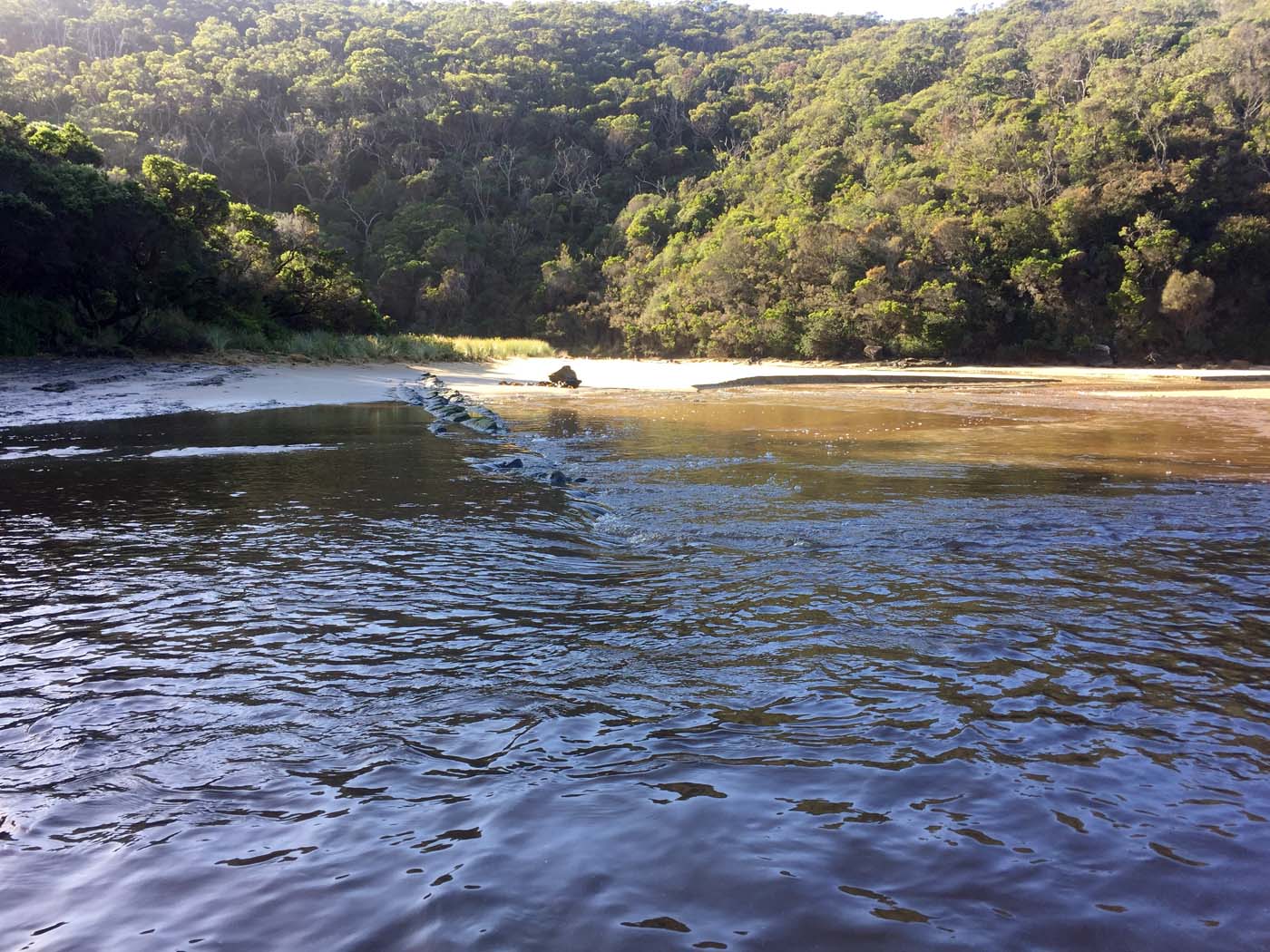 Cape otway blanket bay (11)