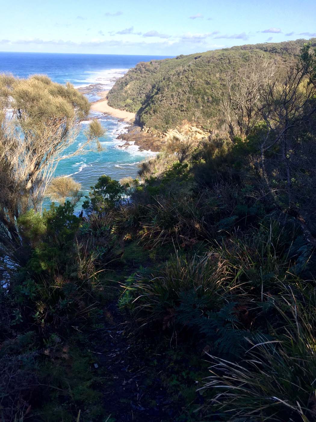 Cape otway blanket bay (16)