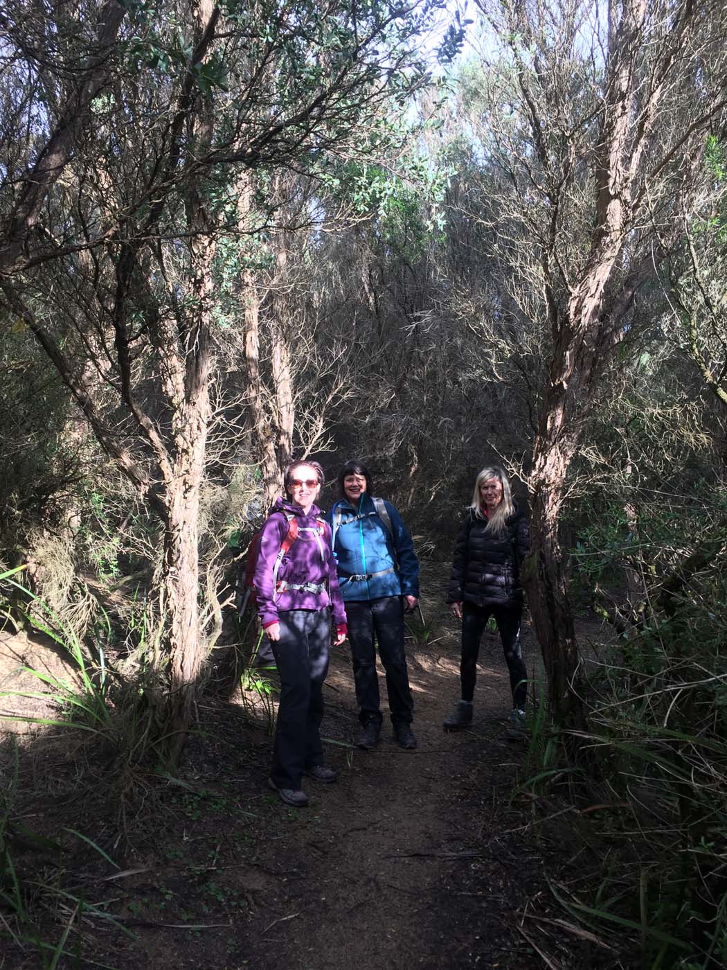 Cape otway blanket bay (2)