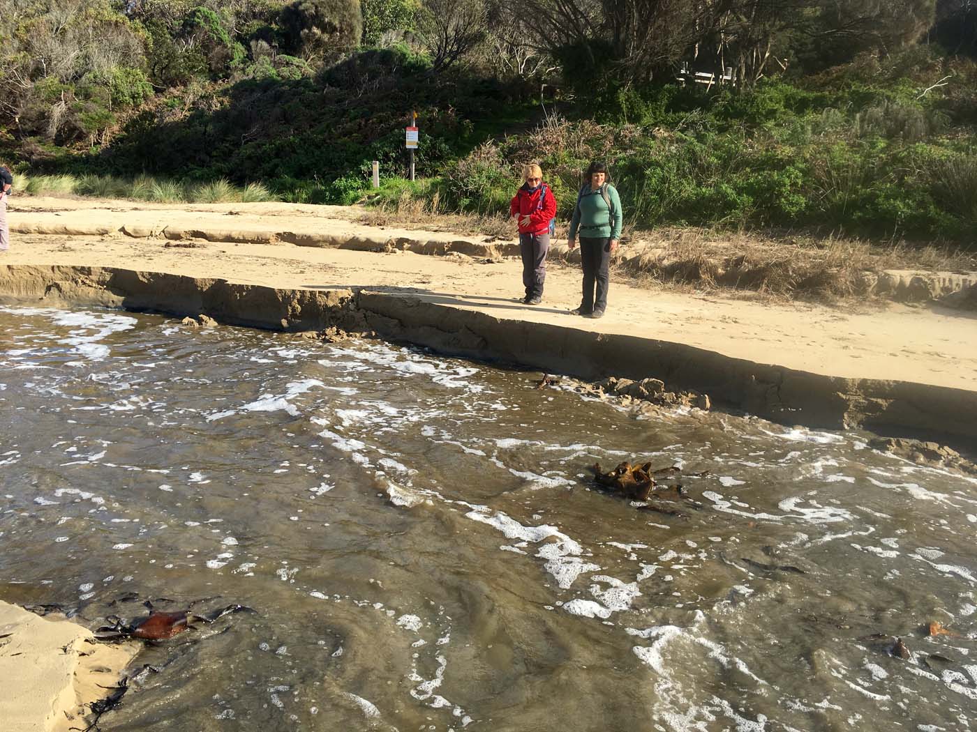 Cape otway blanket bay (35)