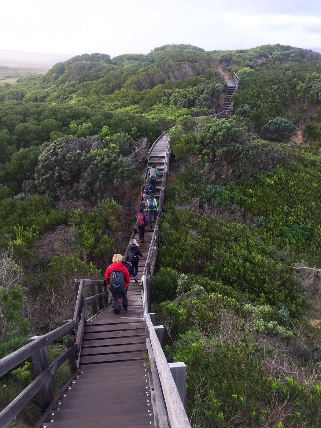 Cape otway blanket bay (5)