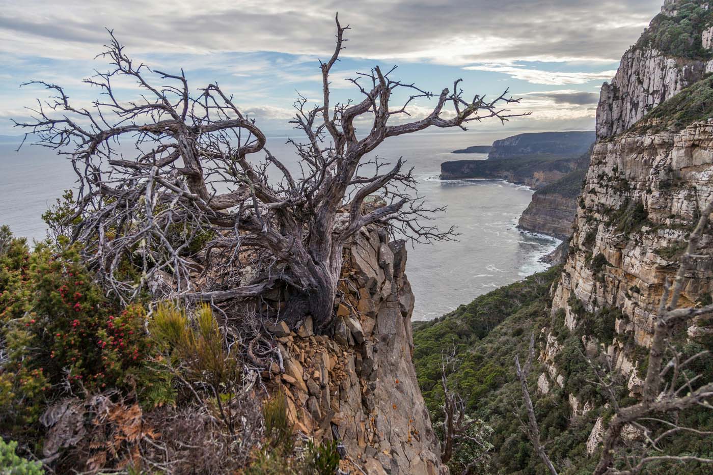 Cape raoul walk 2
