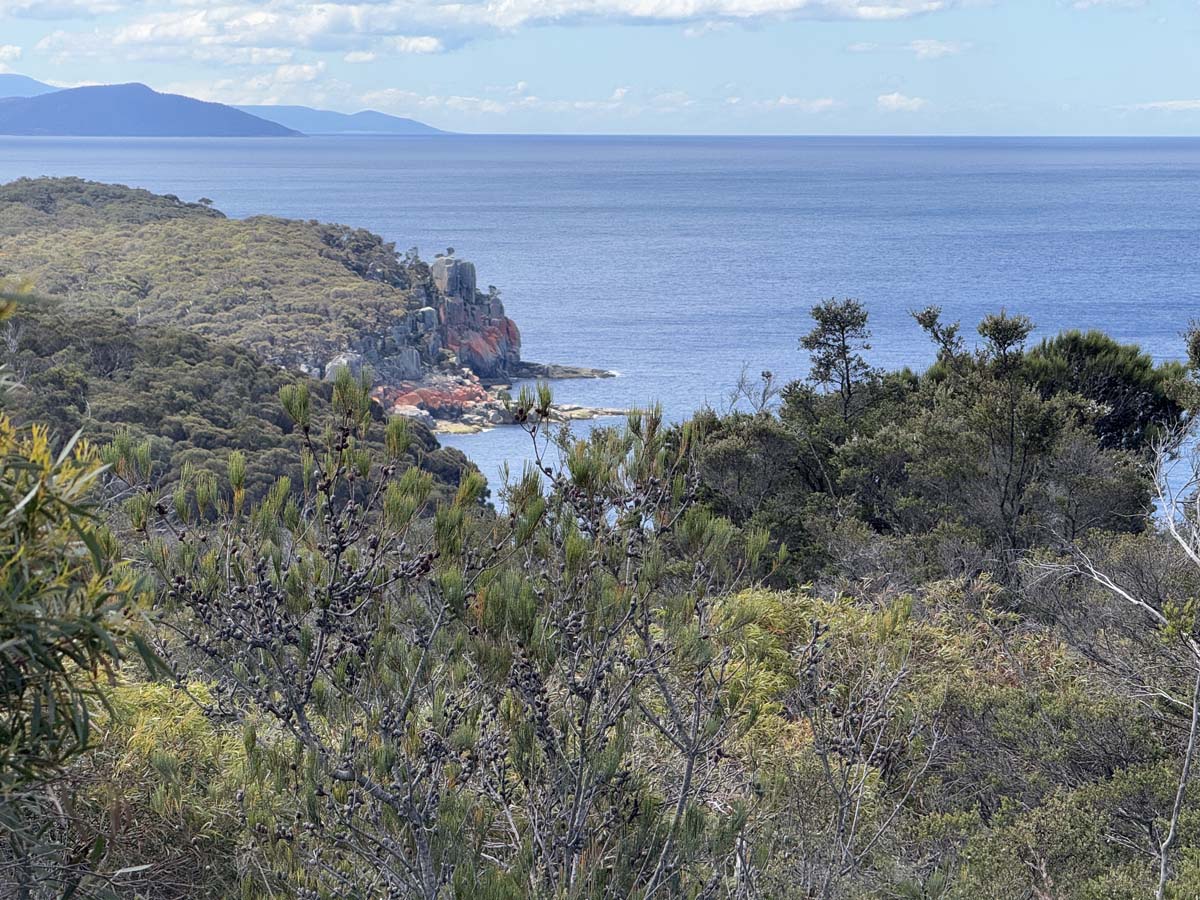 Cape tourville walk 2