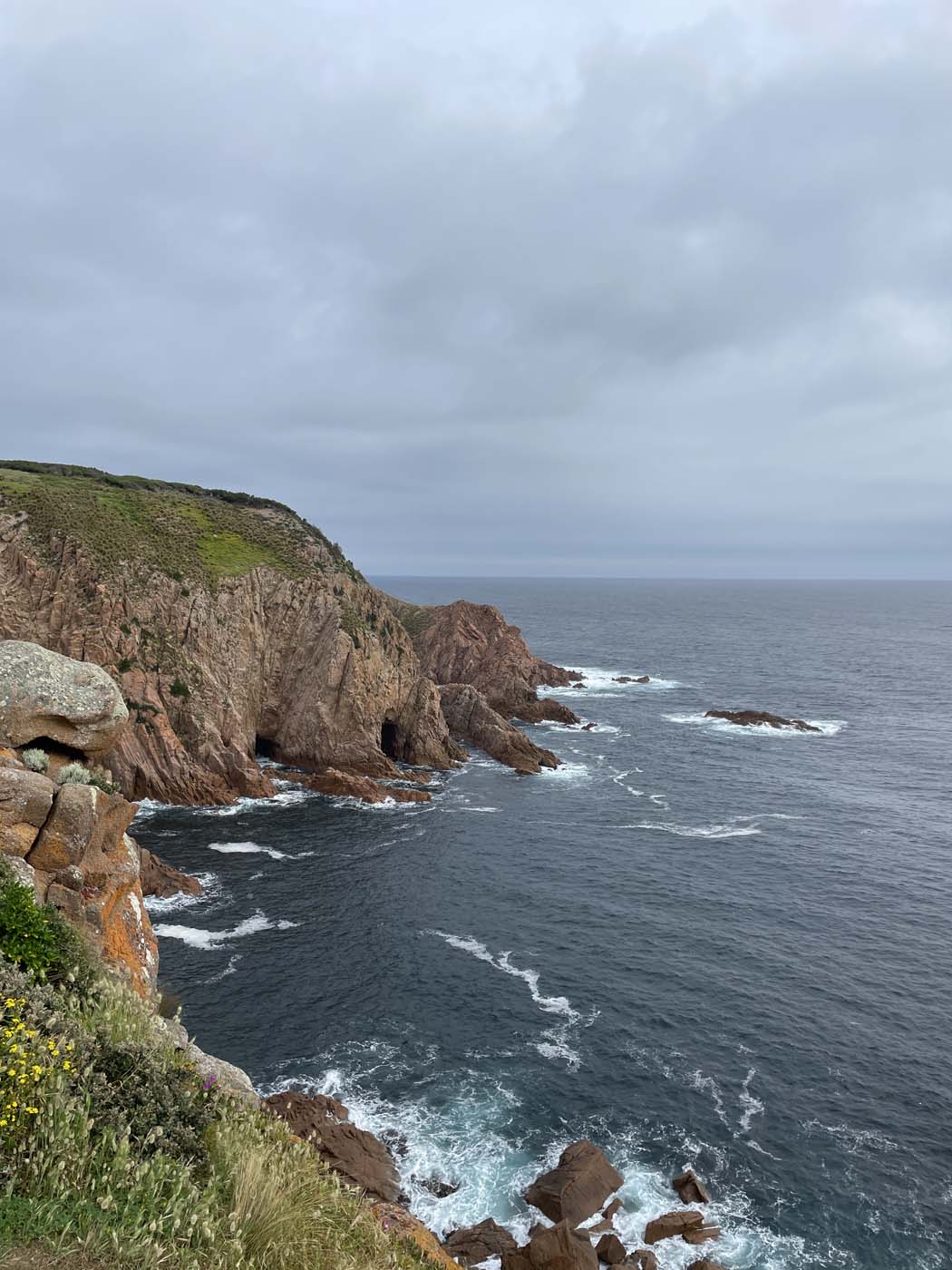 Cape woolamai beacon walk (10)