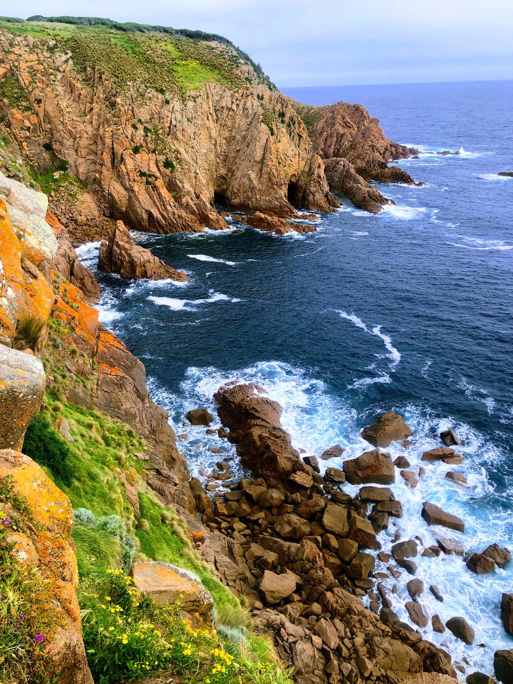 Cape woolamai beacon walk (13)