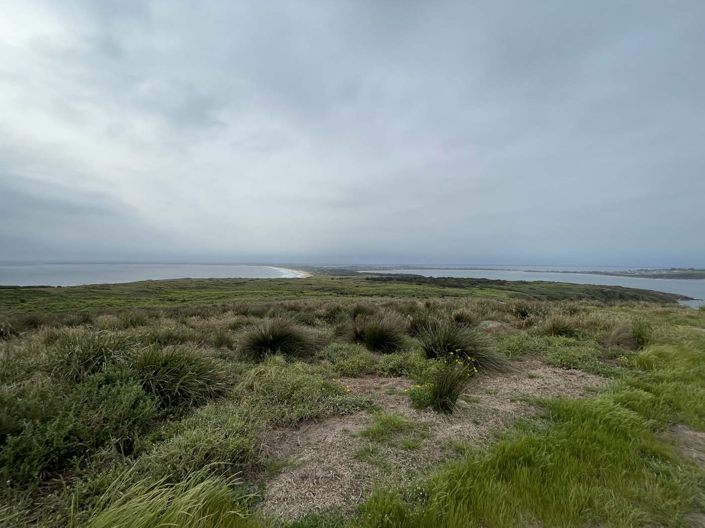 Cape woolamai beacon walk (6)