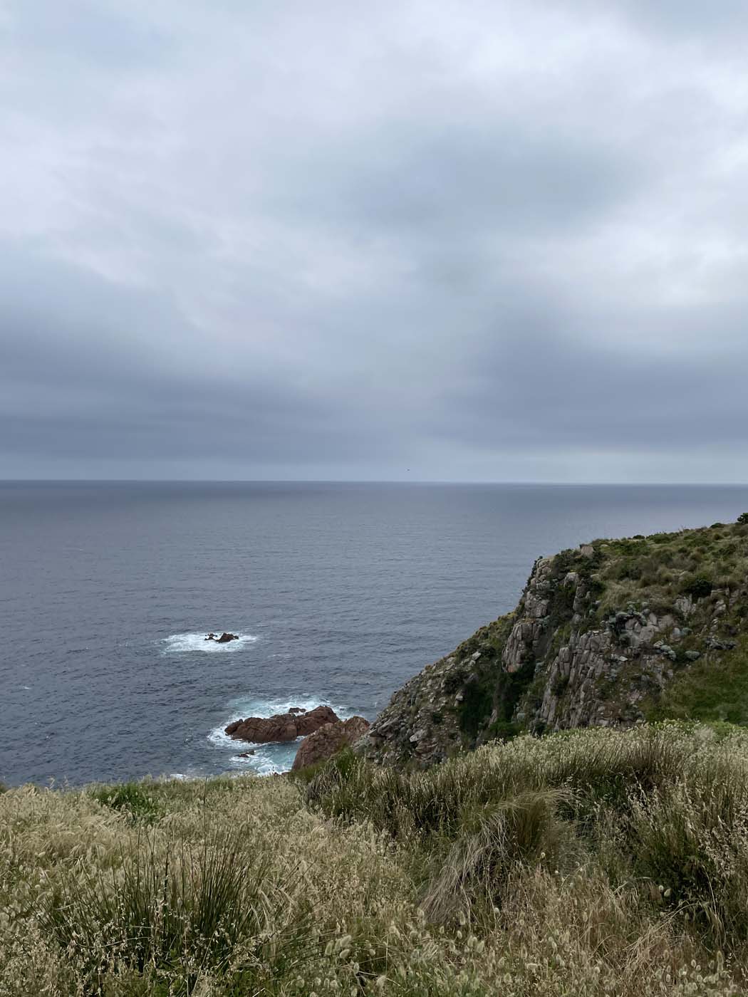 Cape woolamai beacon walk (7)