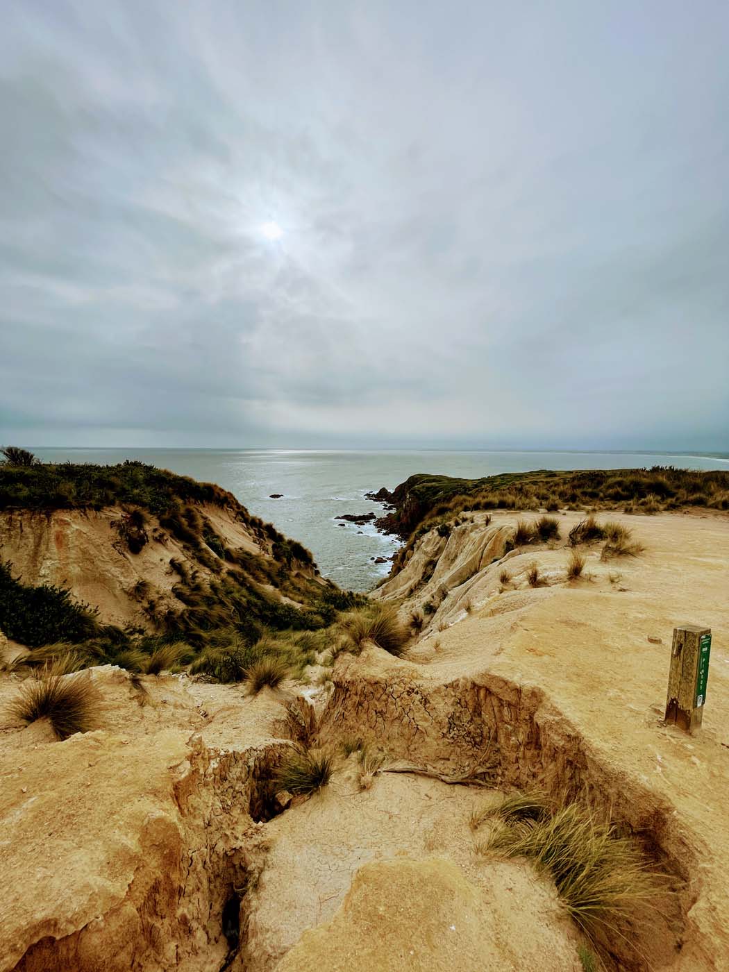 Cape woolamai beacon walk (8)