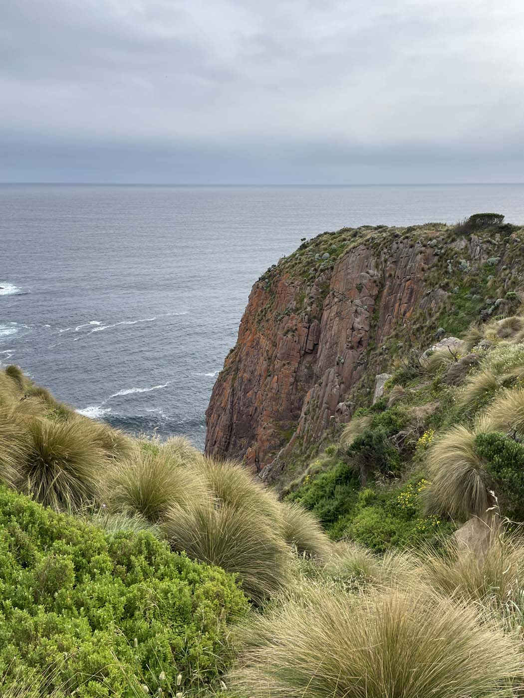 Cape woolamai beacon walk (9)
