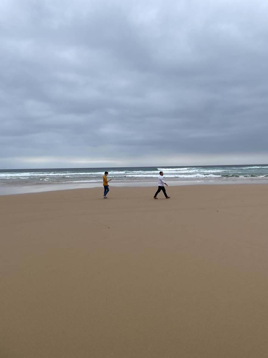 Cape woolamai circuit walk 100