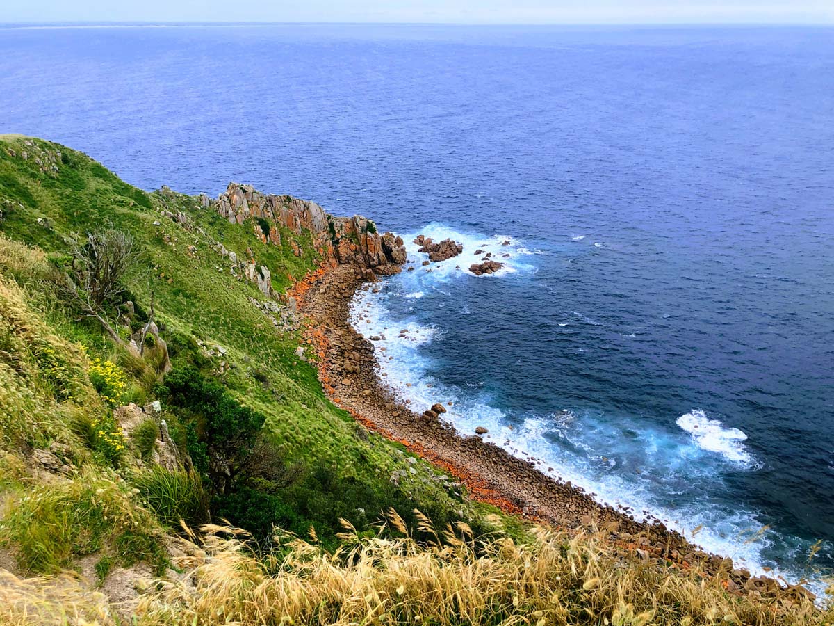 Cape woolamai circuit walk 106