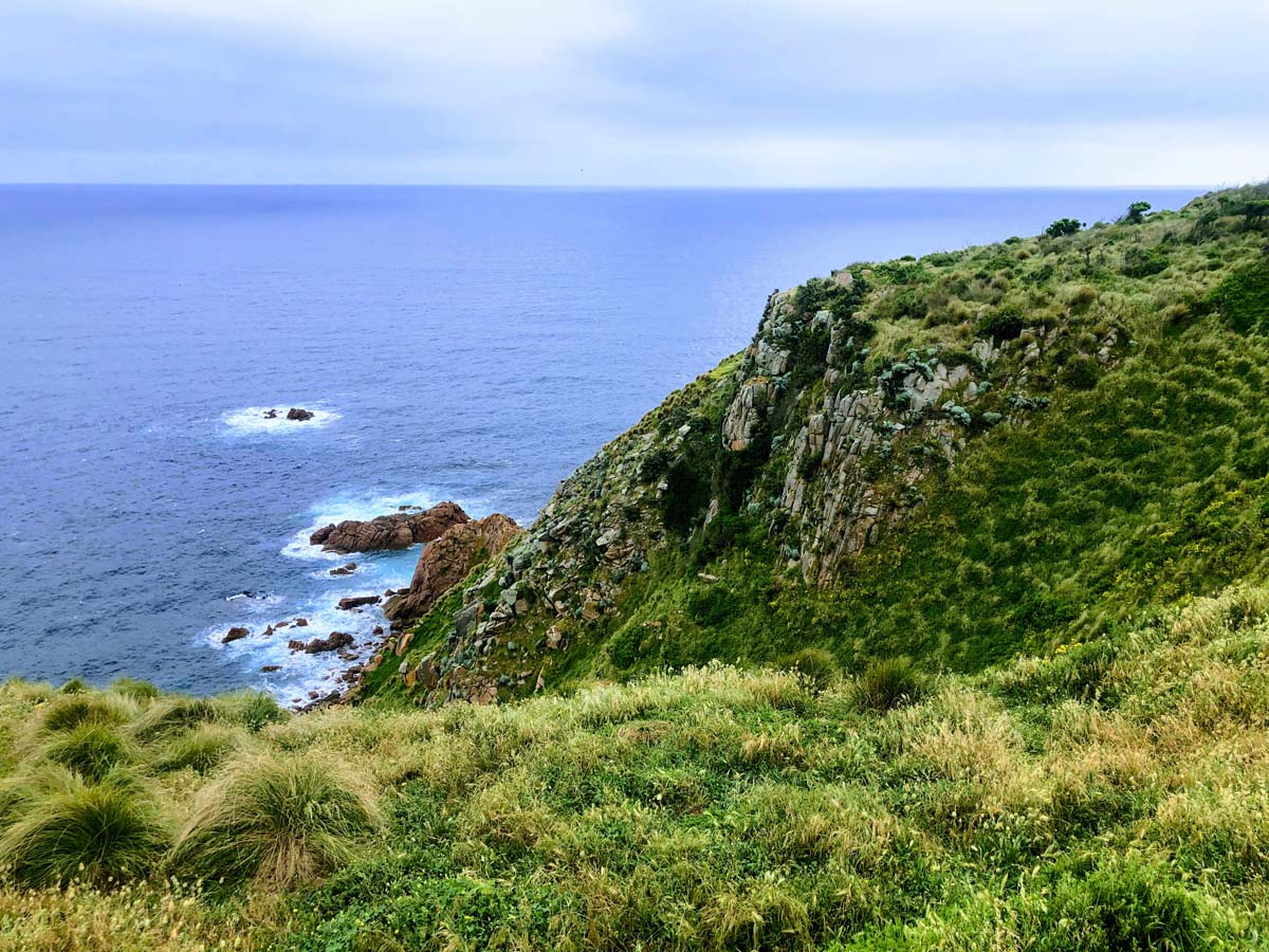 Cape woolamai circuit walk 109