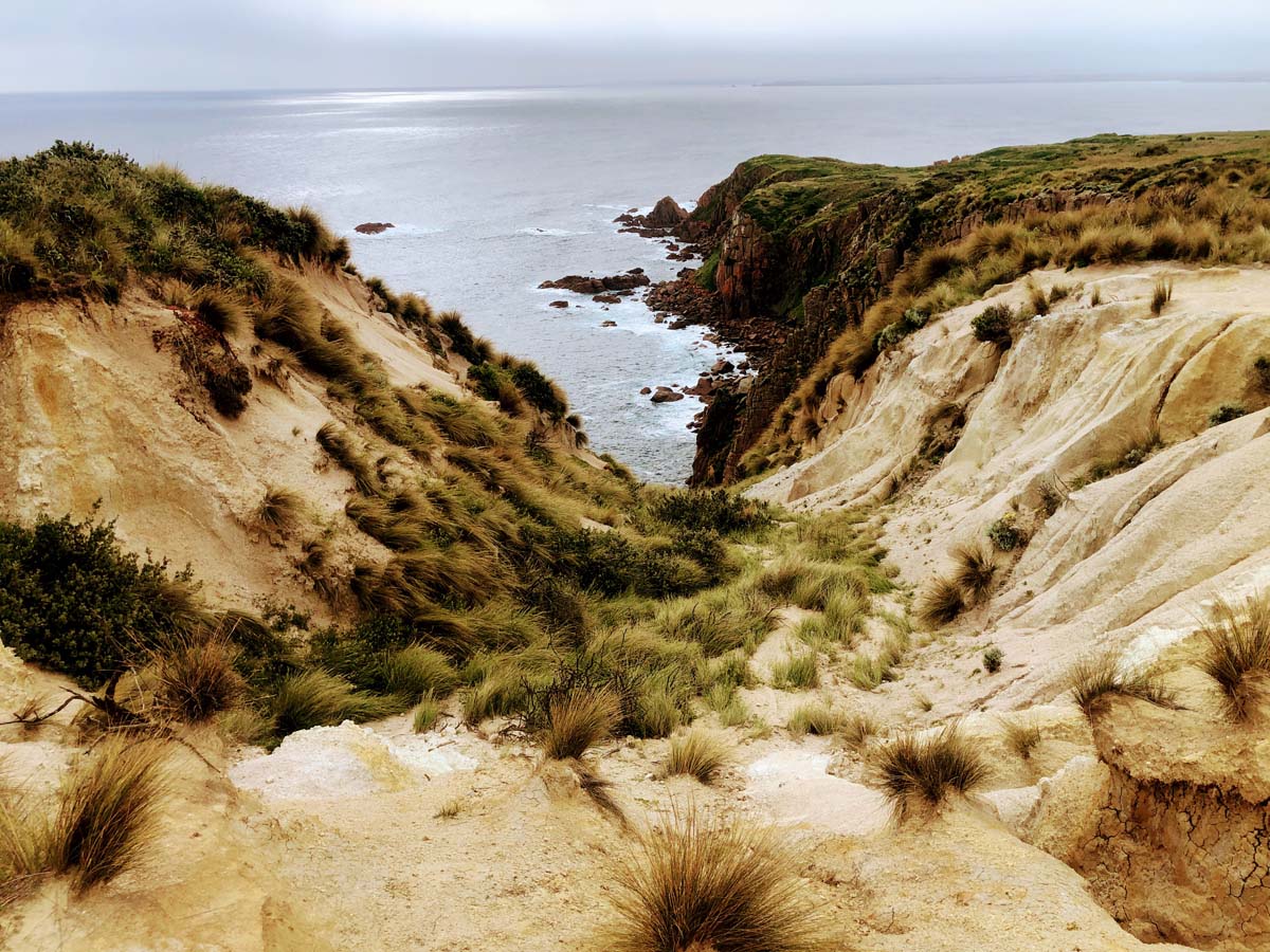 Cape woolamai circuit walk 112