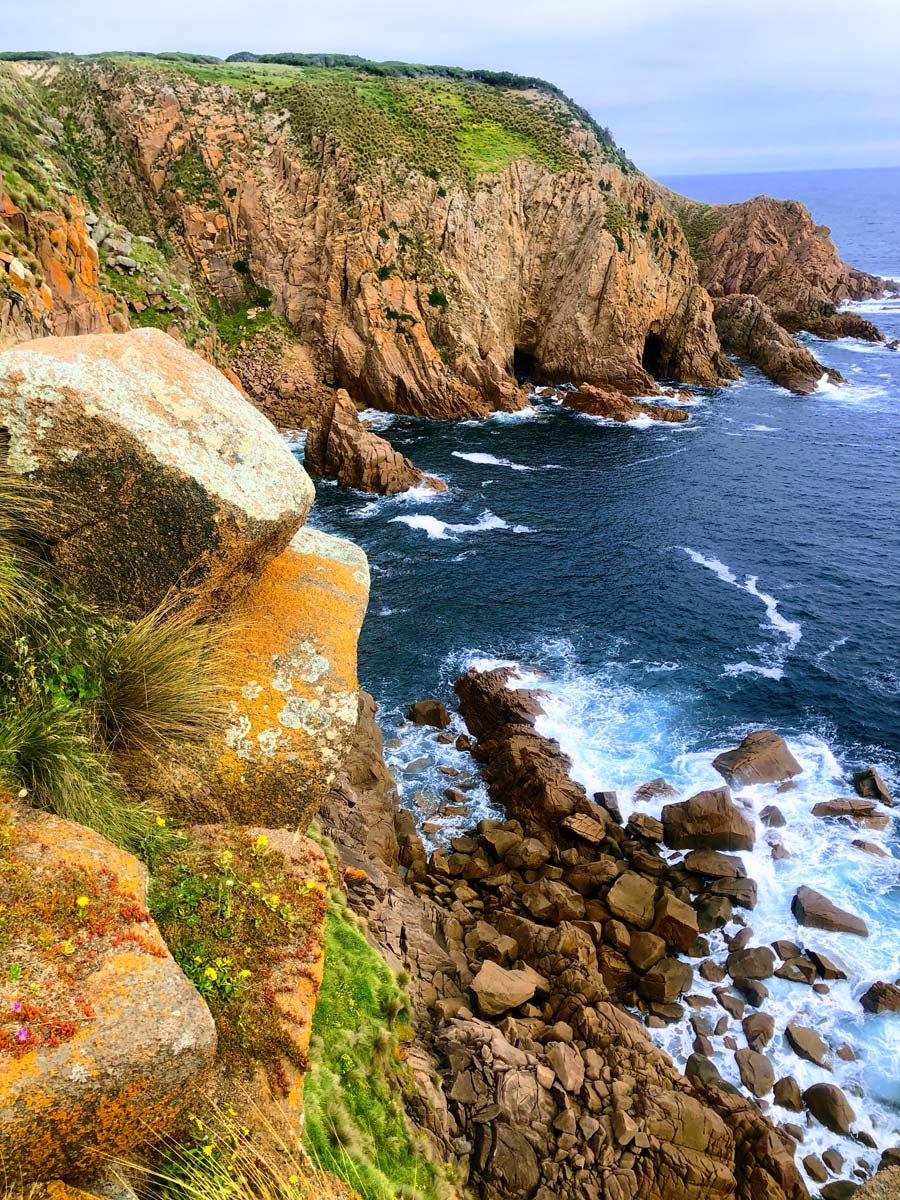 Cape woolamai circuit walk 118