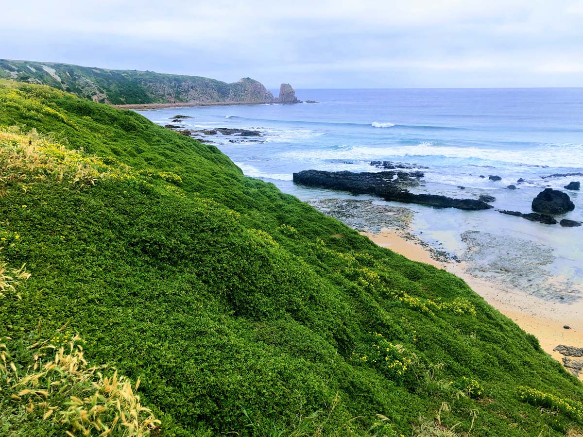 Cape woolamai circuit walk 126