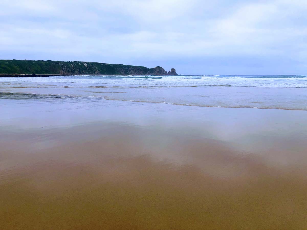 Cape woolamai circuit walk 129