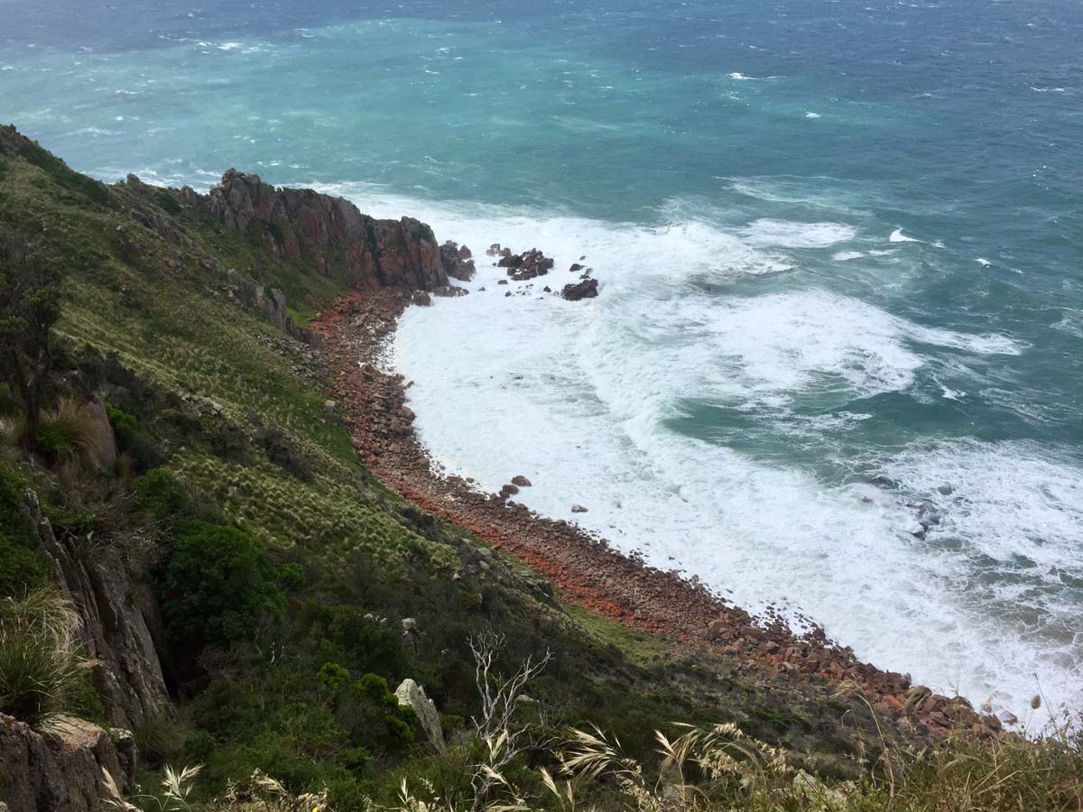 Cape woolamai circuit walk 16