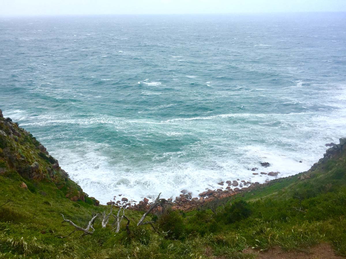 Cape woolamai circuit walk 21