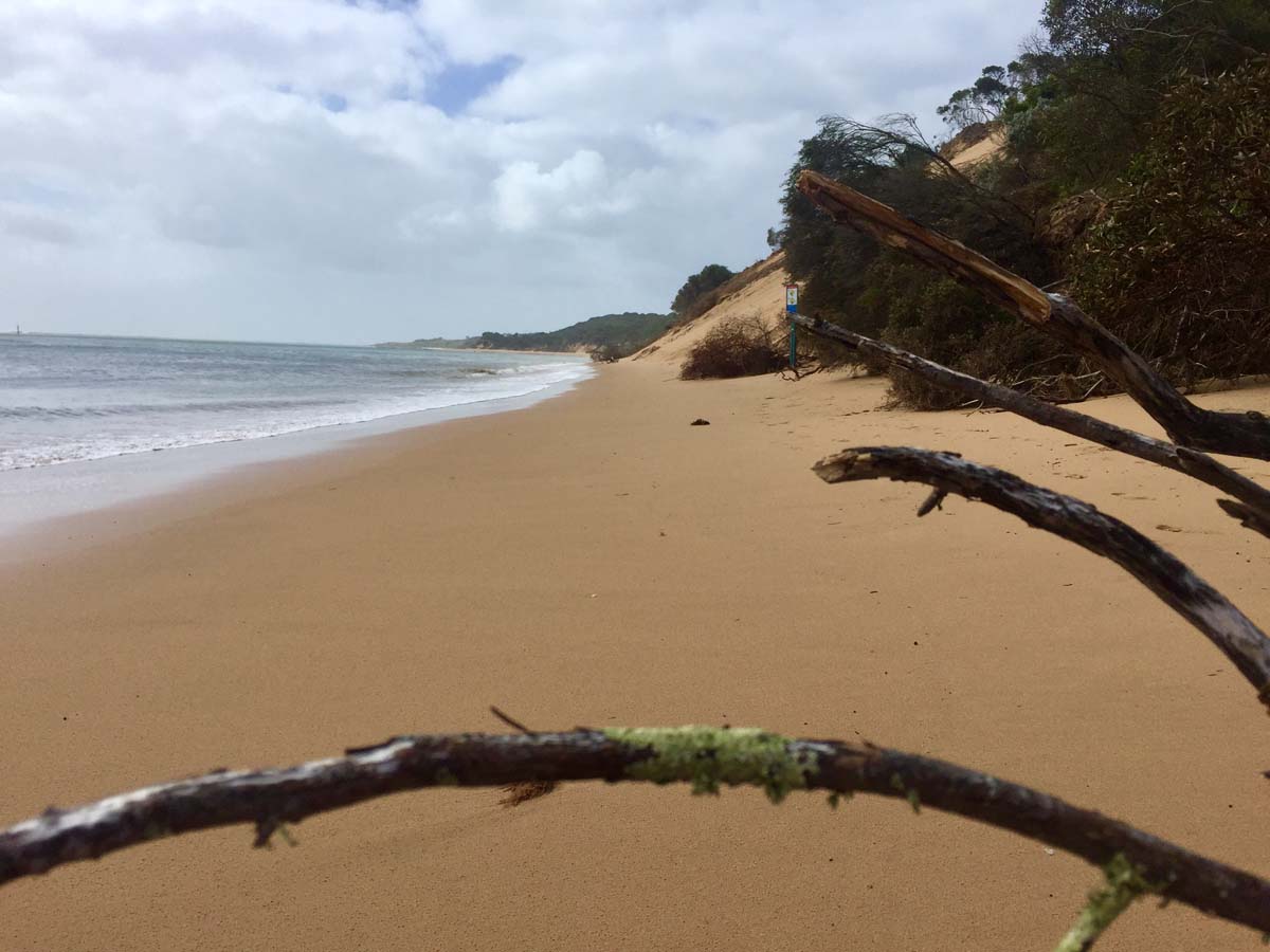 Cape woolamai circuit walk 4