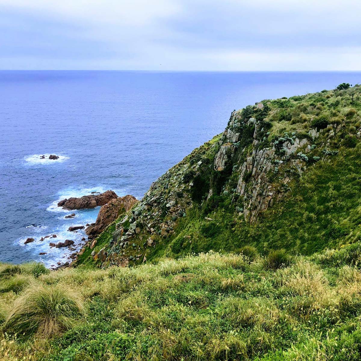 Cape woolamai circuit walk 43