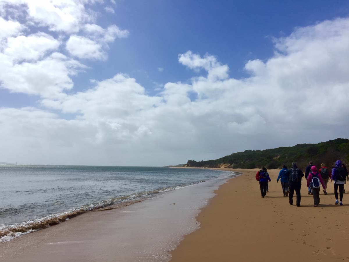 Cape woolamai circuit walk 6