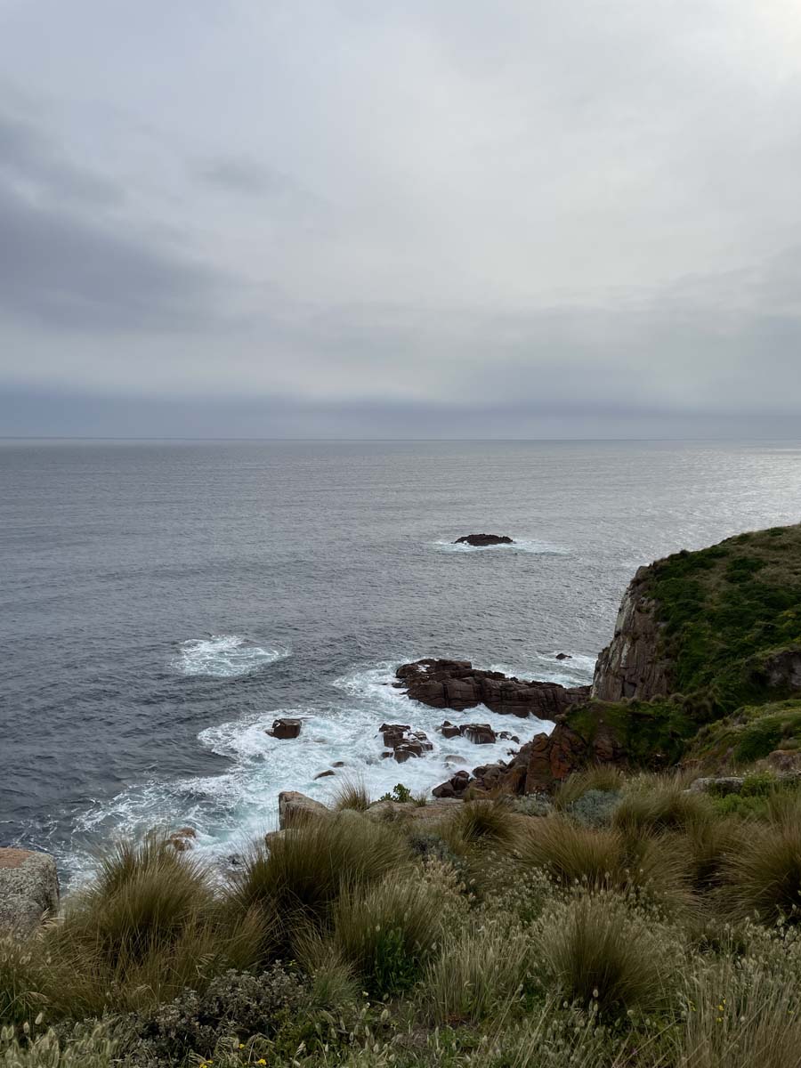 Cape woolamai circuit walk 65
