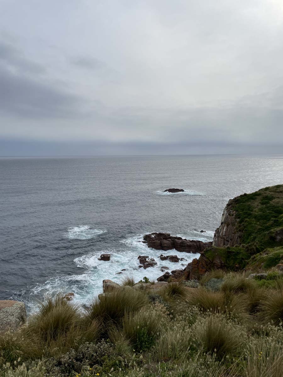 Cape woolamai circuit walk 66