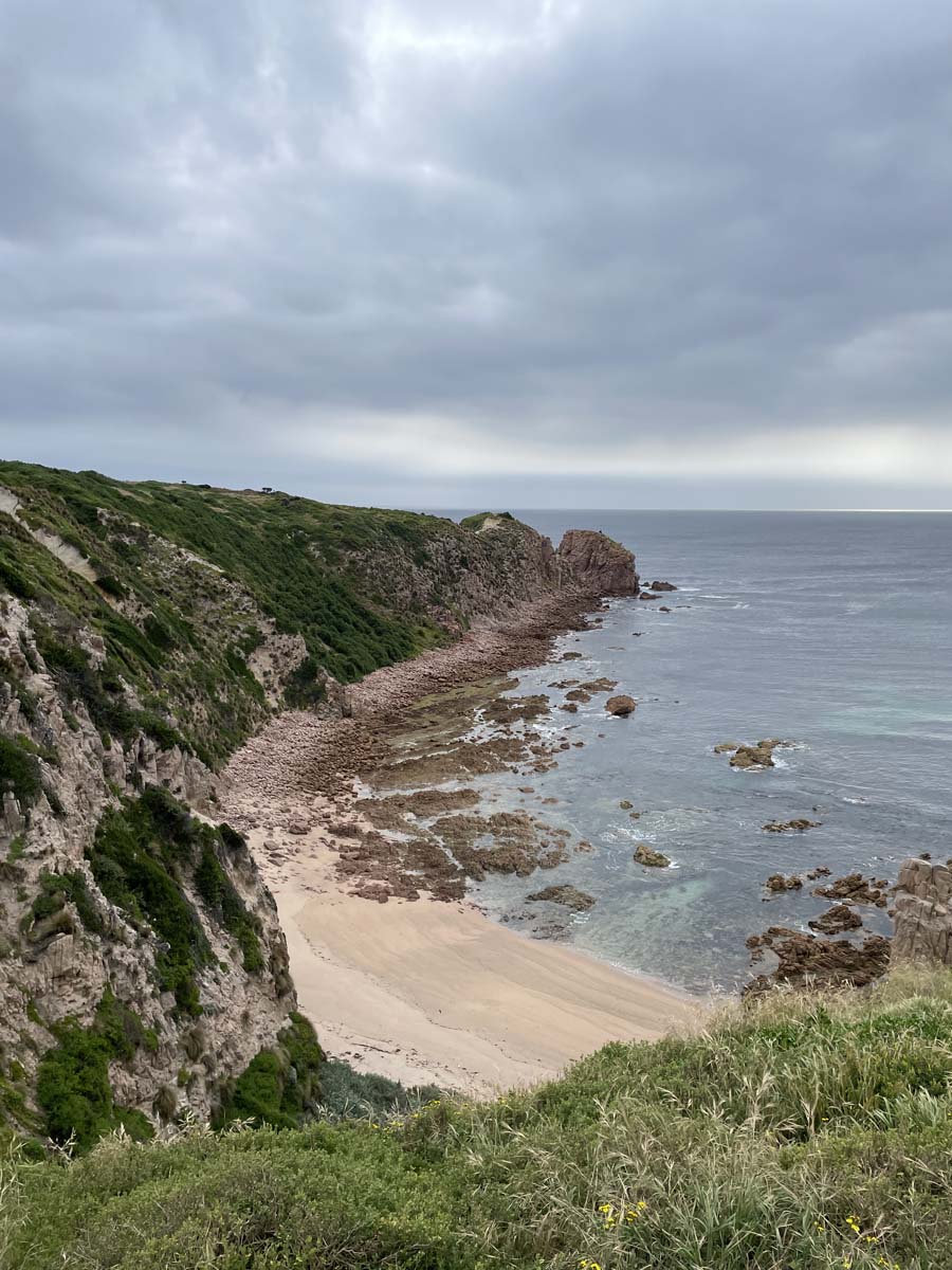 Cape woolamai circuit walk 80