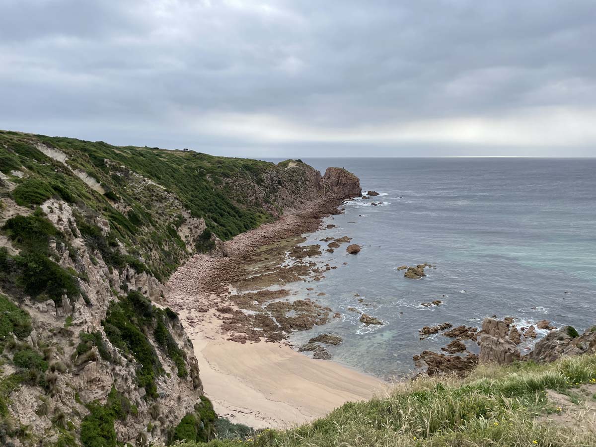 Cape woolamai circuit walk 82