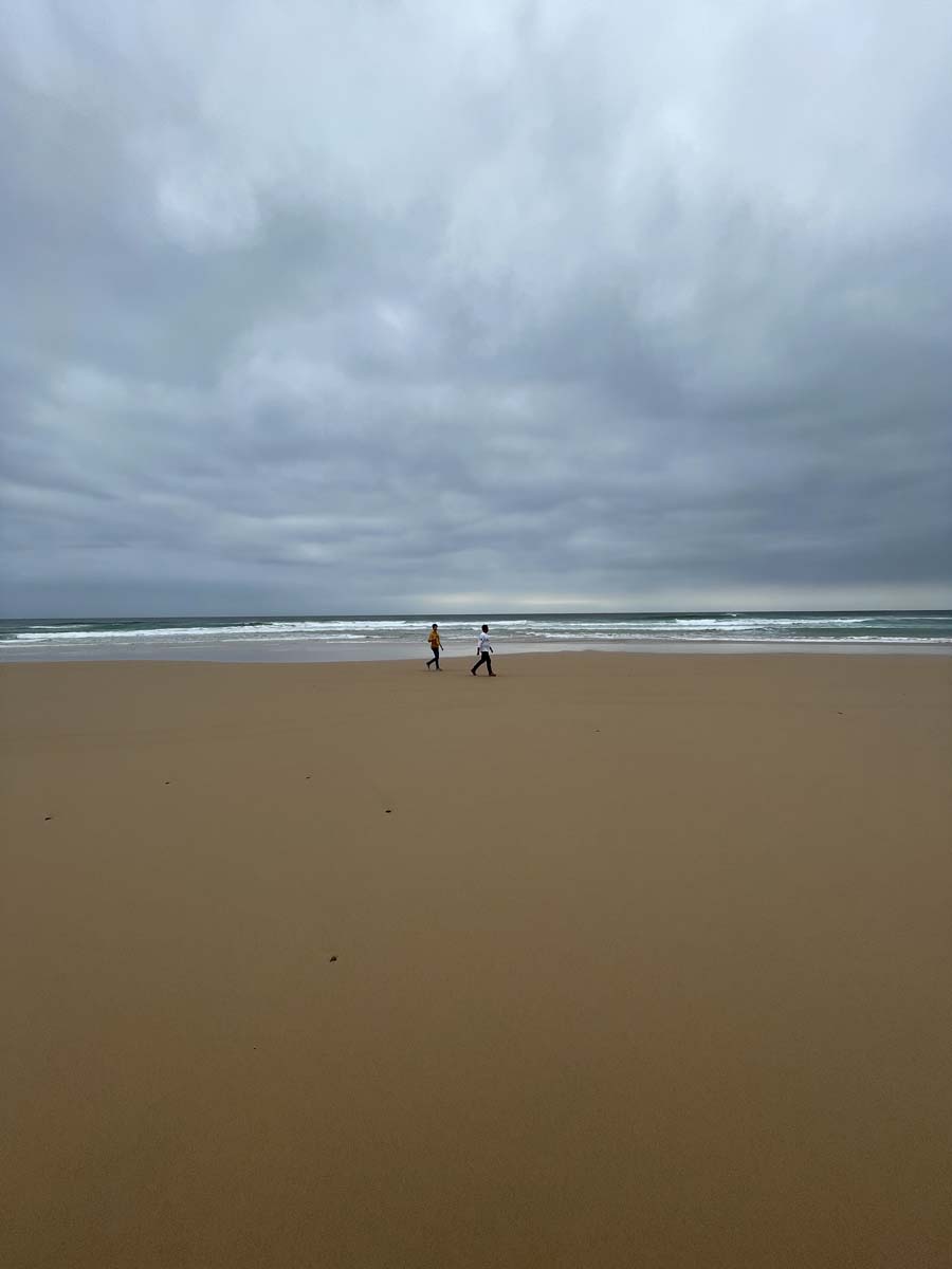 Cape woolamai circuit walk 97