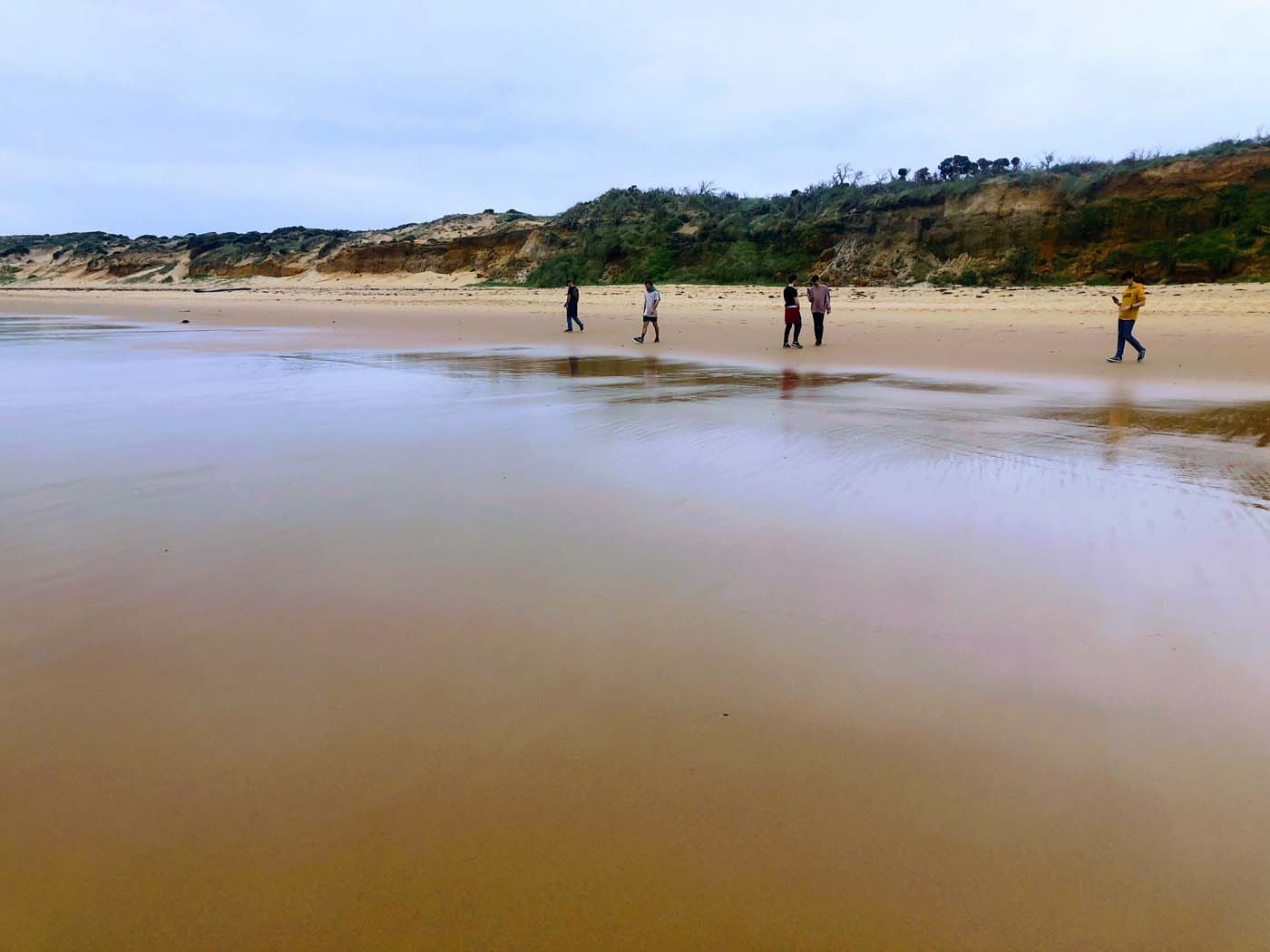 Cape woolamai pinnacles walk (10)