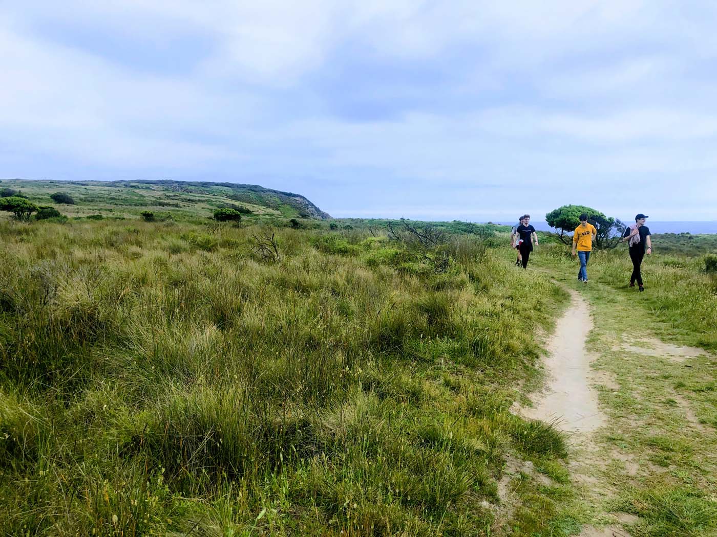 Cape woolamai pinnacles walk (2)