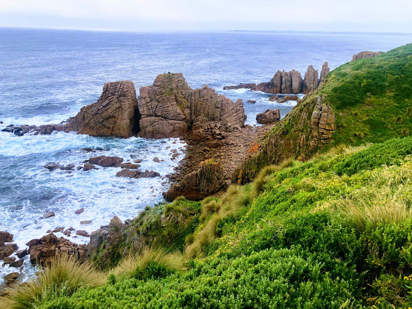 Cape woolamai pinnacles walk (3)
