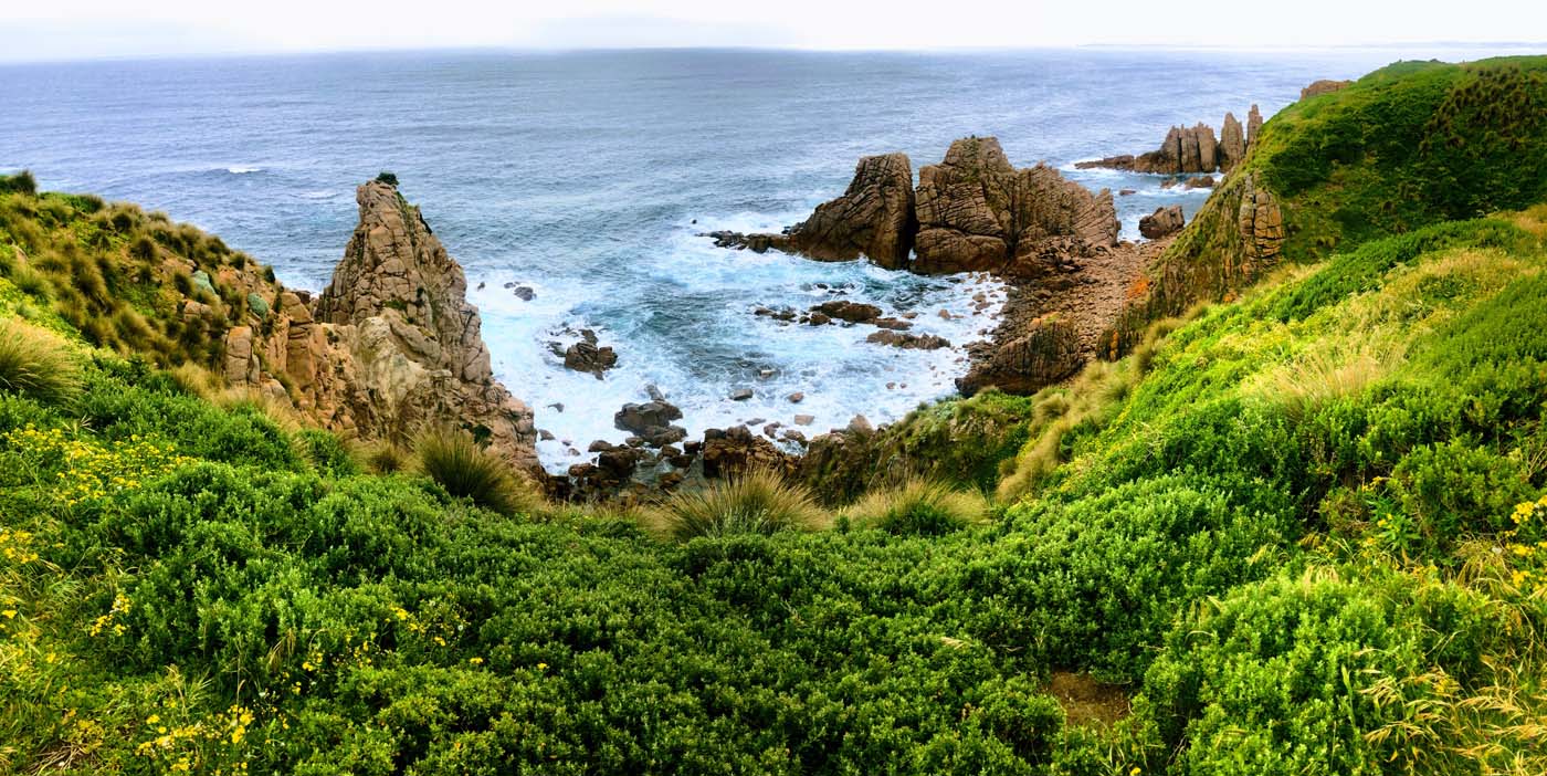 Cape woolamai pinnacles walk (4)