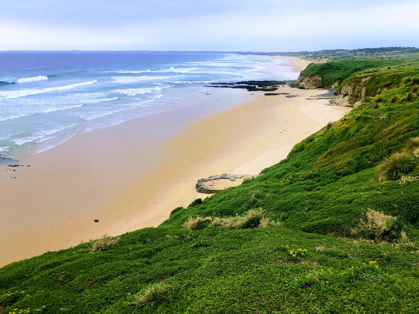 Cape woolamai pinnacles walk (8)