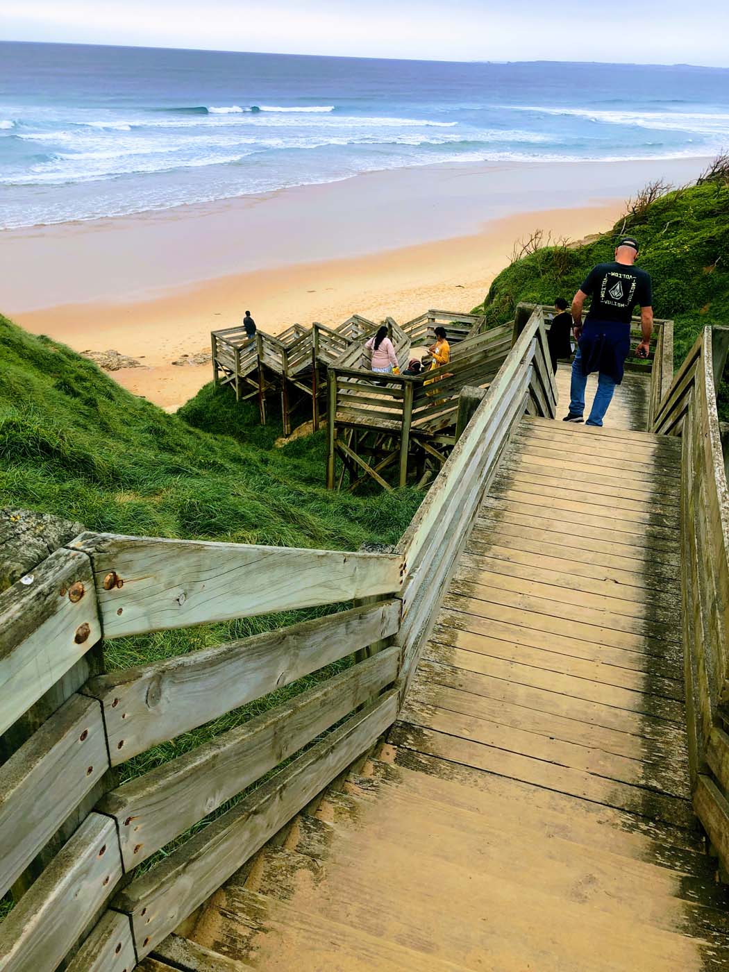 Cape woolamai pinnacles walk (9)