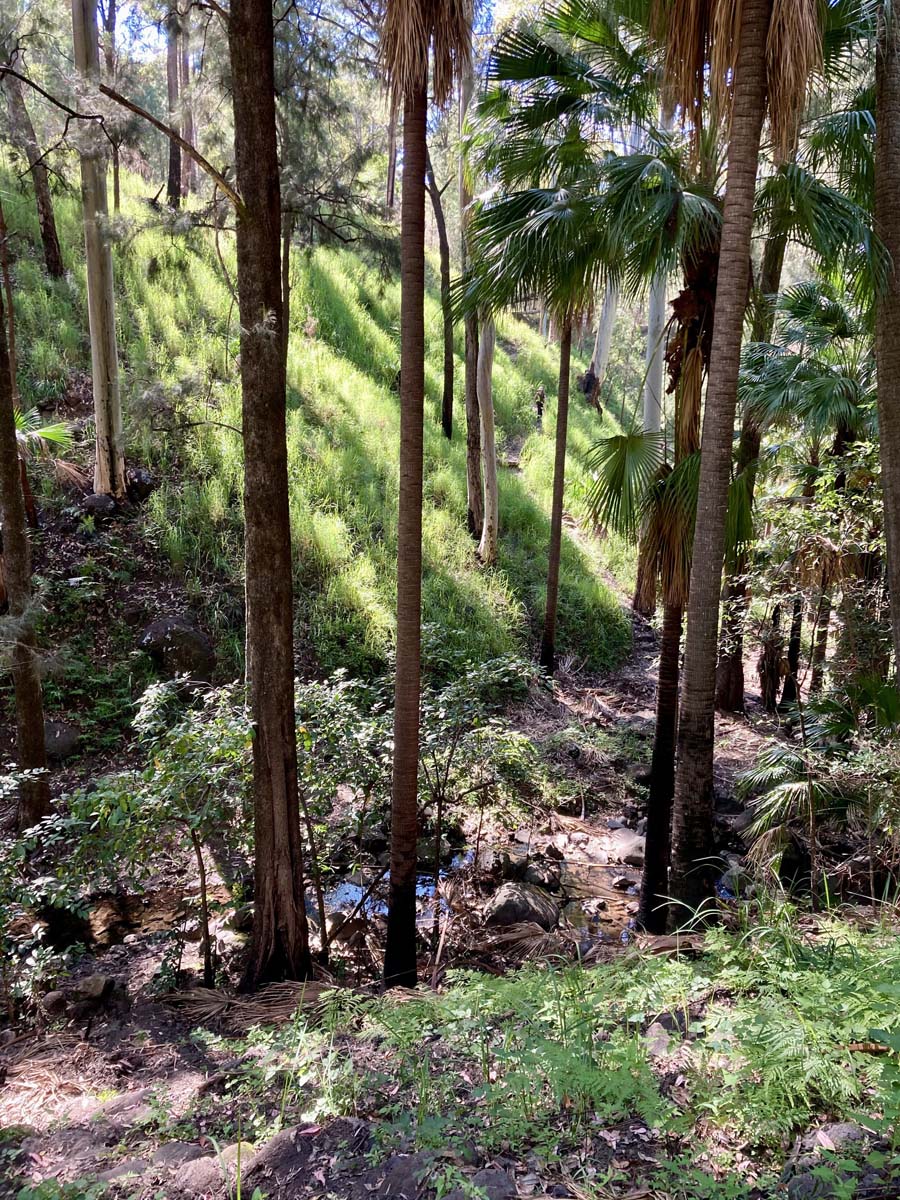 Carnarvon great walk (1)
