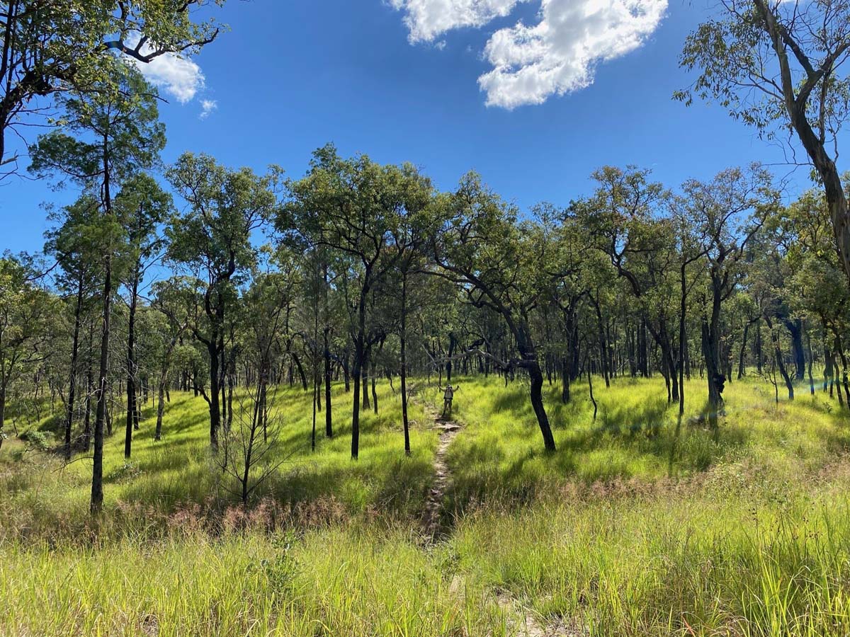 Carnarvon great walk (2) 1