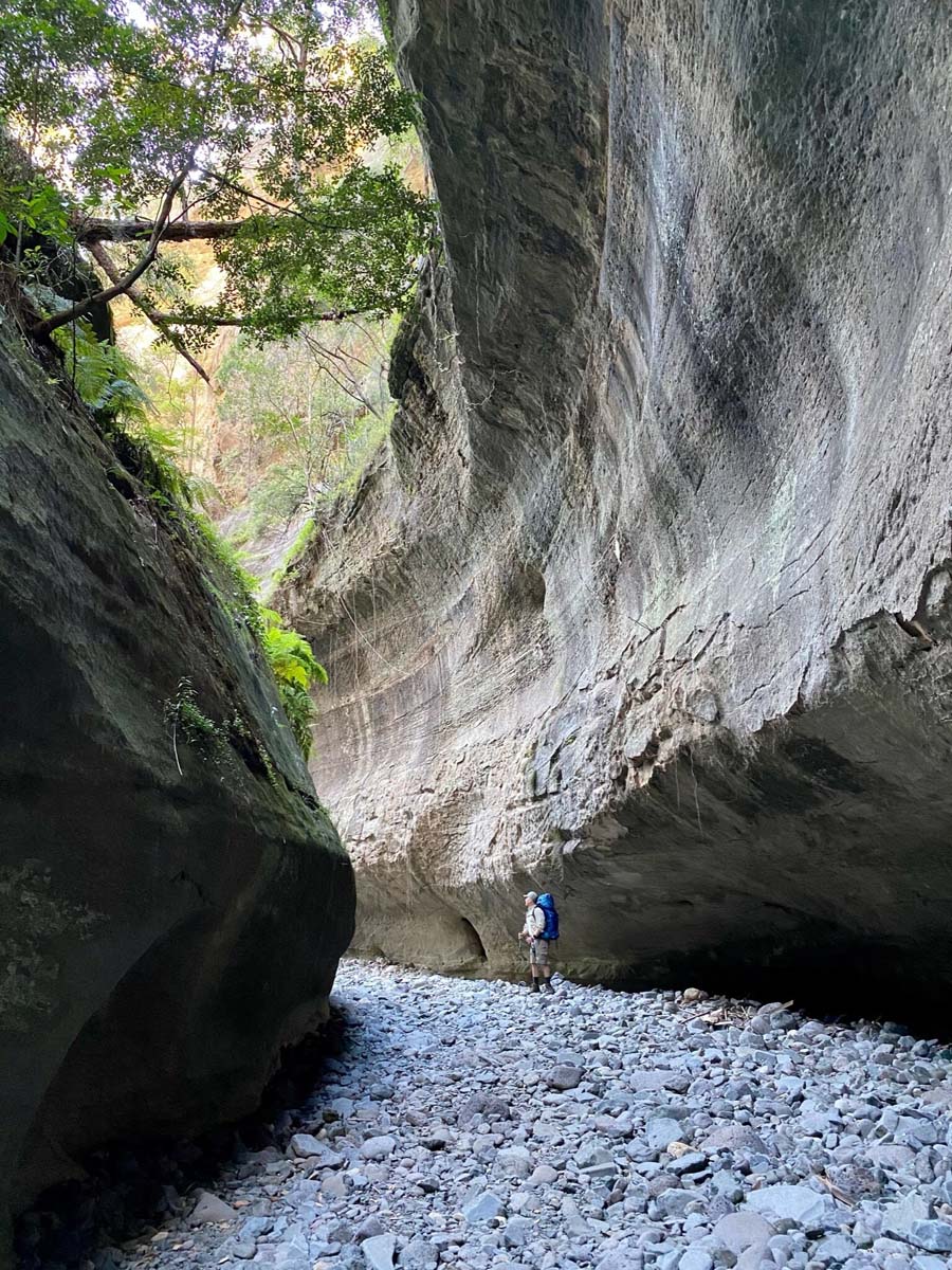 Carnarvon great walk (4) 1