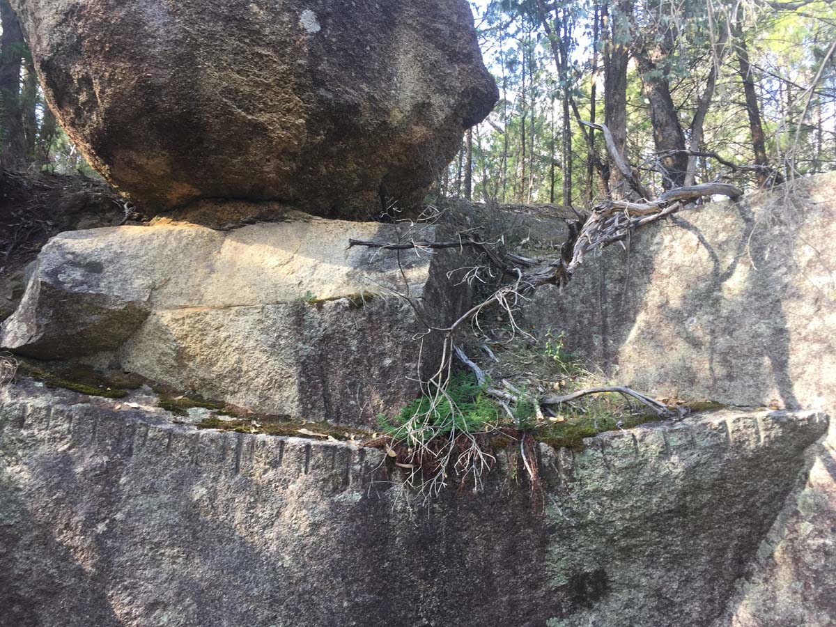 Cascades & woolshed falls hike 22