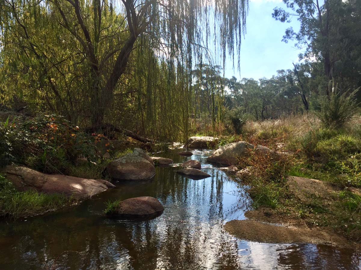 Cascades & woolshed falls hike 41