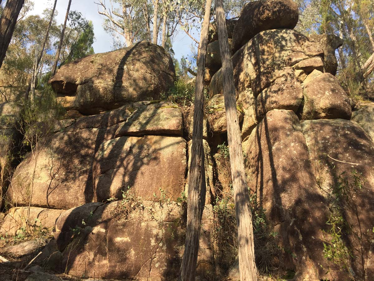Cascades & woolshed falls hike 60