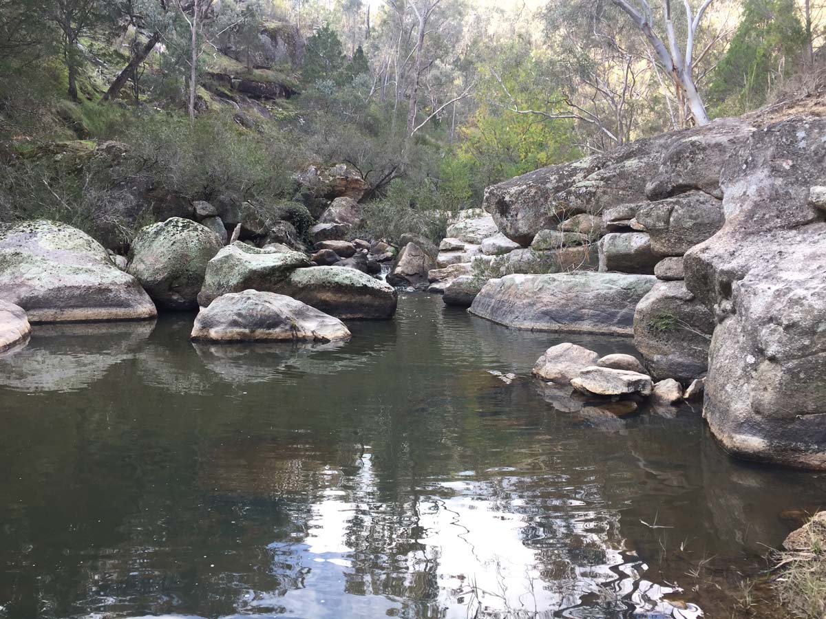 Cascades & woolshed falls hike 61
