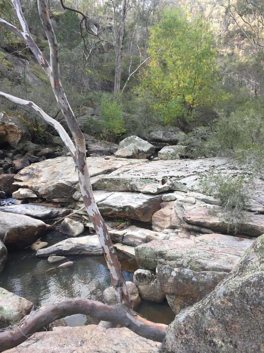 Cascades & woolshed falls hike 62