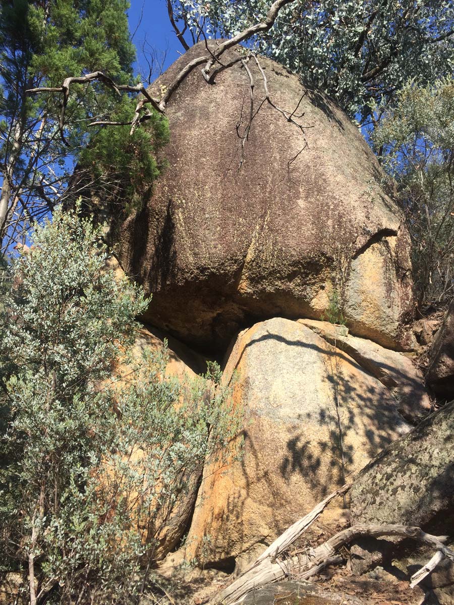 Cascades & woolshed falls hike 9