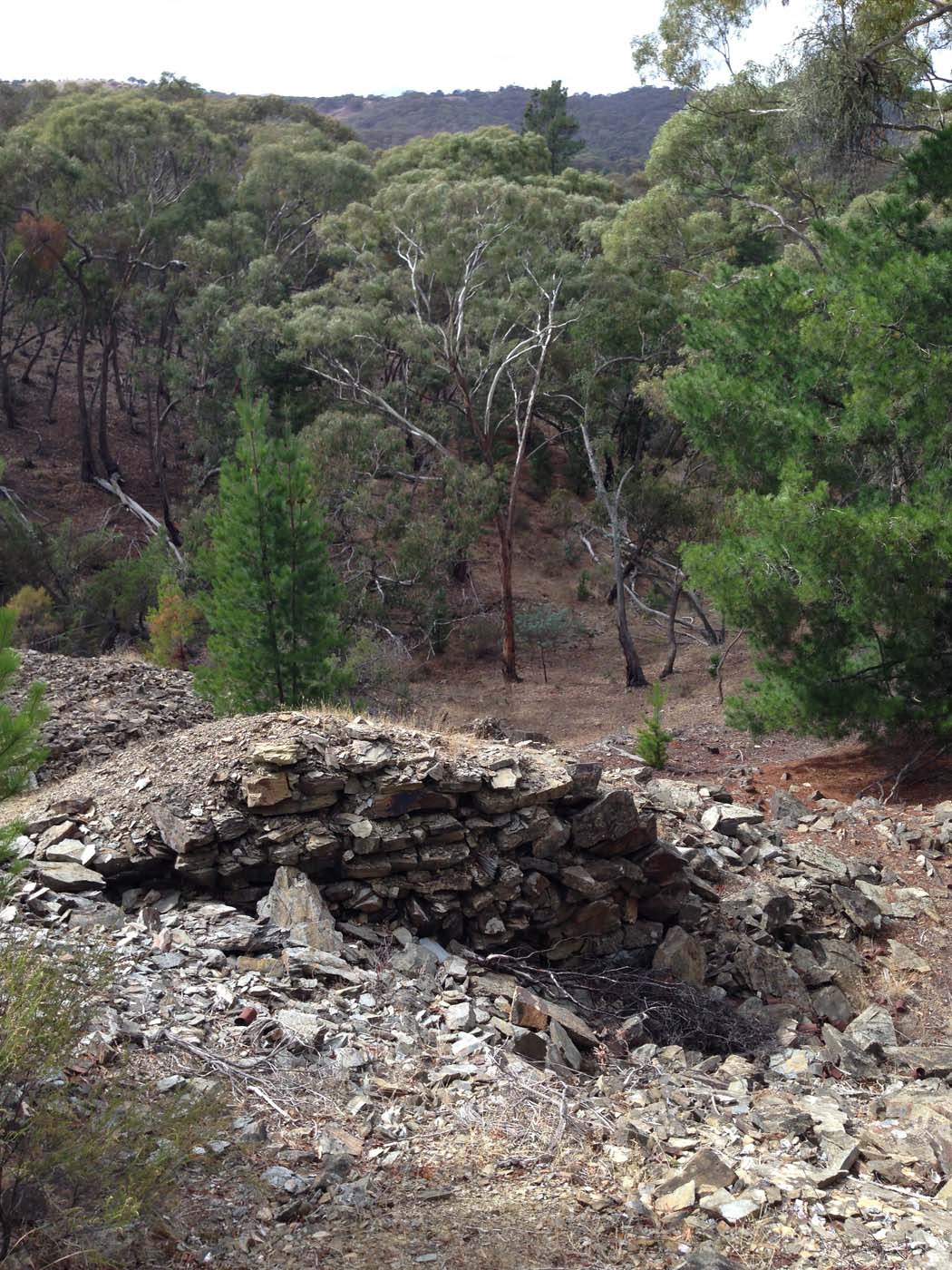 Castlemaine diggings hike 16